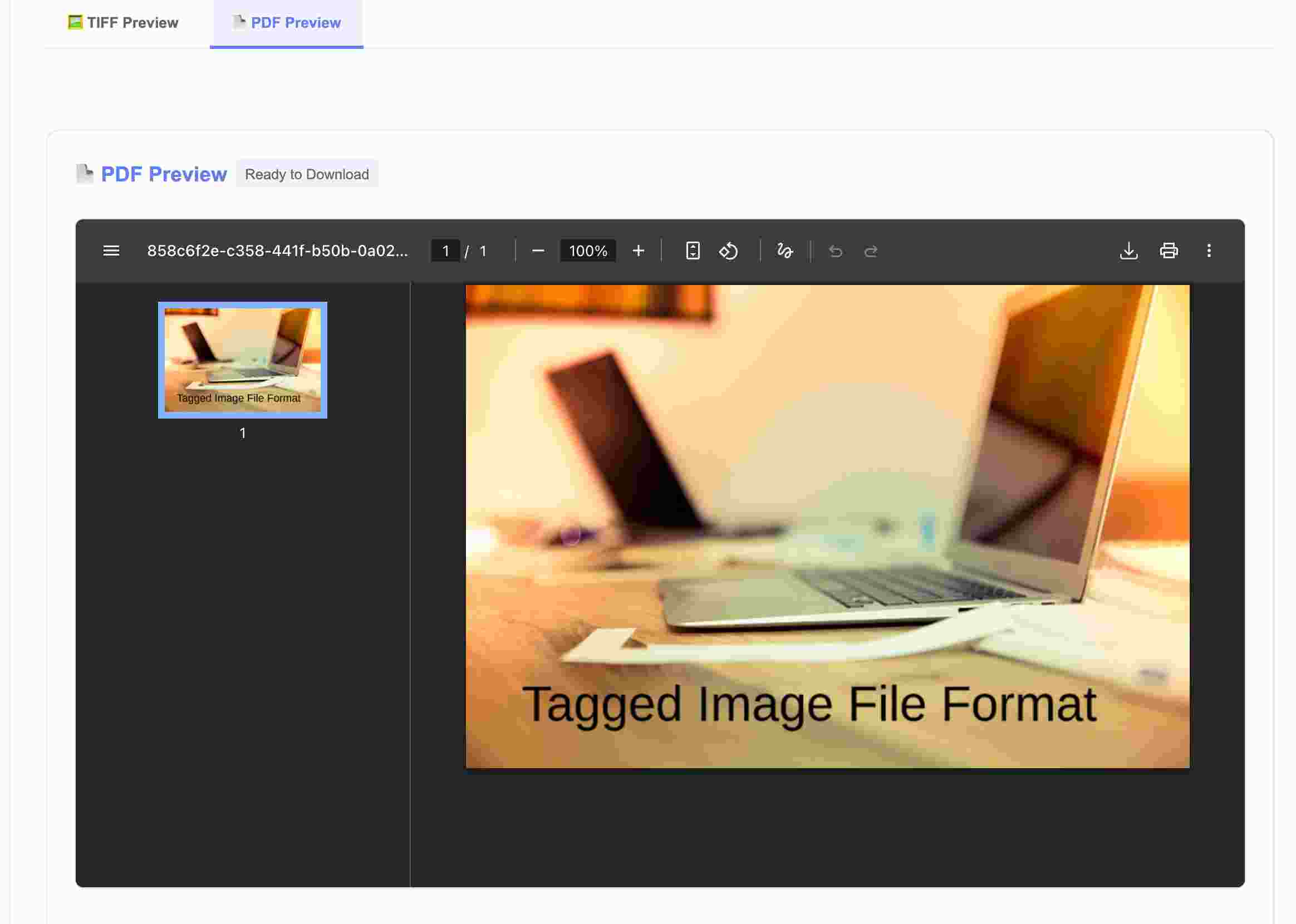 tiff to pdf step5 check preview of pdf file